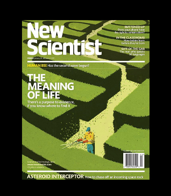 The meaning of life • New Scientist